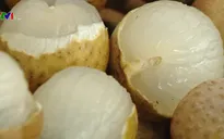 Khai mạc Tuần lễ nhãn lồng Hưng Yên tại Hà Nội