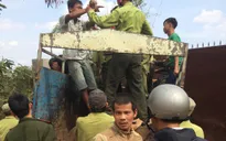 Khánh Hòa: Lâm tặc tấn công kiểm lâm
