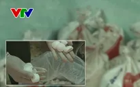 Quảng Nam tạm giữ 7 tạ hóa chất nghi là cyanua dùng để khai thác vàng