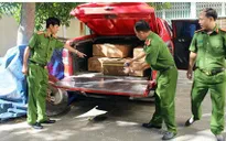 Quảng Nam bắt vụ vận chuyển gỗ lậu