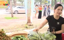 Nông sản an toàn Sơn La được người dân đón nhận