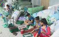 Cần Thơ: Nhộn nhịp làng nghề sản xuất lưới mùa lũ