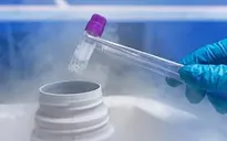 Chuyển phôi đông lạnh - những ưu điểm nổi bật trong điều trị vô sinh, hiếm muộn