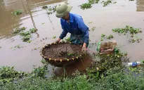 Người dân vùng đầu nguồn có thu nhập khá từ nghề đặt cua đồng