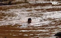 Trẻ em liều mình vớt củi giữa dòng nước lũ ở Điện Biên