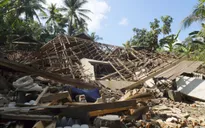 Động đất tại Indonesia: Số nạn nhân thiệt mạng tăng lên 347 người