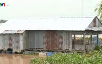 Nỗi lo sạt lở mùa lũ ở Đồng Tháp