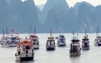Quảng Ninh đình chỉ hoạt động 20 tàu du lịch trên vịnh Hạ Long