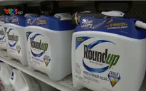Pháp kêu gọi chống sử dụng chất Glyphosate
