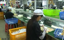 Tiền Giang: Điểm đến hấp dẫn của các nhà đầu tư