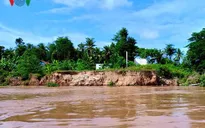 Xuất hiện thêm nhiều điểm sạt lở tại Đồng Tháp