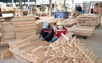 Chuyển đổi nguồn cung nguyên liệu, đảm bảo xuất khẩu gỗ bền vững