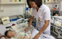 Bé trai 2 tuổi bị đục thủng 50 lỗ ở ruột non do giun tròn từ chó mèo