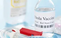 CHDC Congo triển khai chương trình tiêm vaccine phòng Ebola