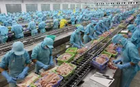 Tìm giá trị nâng cao giá trị xuất khẩu