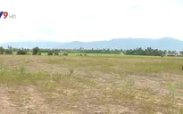 Khánh Hòa: Người trúng thầu bỏ cọc sau khi đấu giá