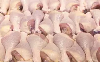 Việt Nam nhập hơn 100.000 tấn thịt lợn và gà giá rẻ 6 tháng đầu năm