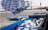 Tổ chức gặp gỡ doanh nghiệp Việt - Trung, thúc đẩy xuất khẩu gạo sang Trung Quốc