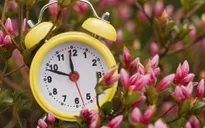 EU cân nhắc dừng việc chuyển đổi giờ theo mùa