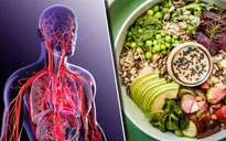 Chế độ dinh dưỡng dành cho người cao huyết áp?