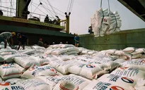 Xuất khẩu gạo cán mốc 4,4 triệu tấn