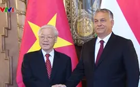 Tuyên bố chung Việt Nam - Hungary