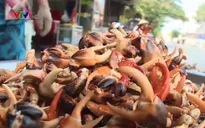 Cua đồng - Đặc sản mùa lũ ở ĐBSCL