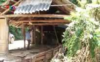 Nghệ An: Cuộc sống khó khăn của nhiều hộ dân sau lũ