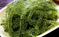 Những lưu ý khi chọn và chế biến rong nho