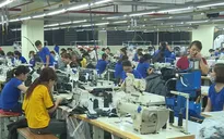 Đơn hàng ồ ạt đến cuối năm, cổ phiếu dệt may lập mặt bằng giá mới