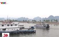 Trao nhãn sinh thái “Cánh buồm xanh” cho tàu du lịch trên vịnh Hạ Long
