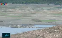 Tình hình khô hạn ở Ninh Thuận là bất thường và nghiêm trọng