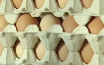 Mỹ: Thu hồi trứng gà công nghiệp nghi nhiễm khuẩn salmonella