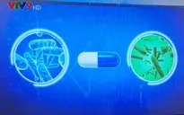 Các lợi khuẩn cũng có thể gây hại cho đường ruột