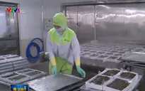 Xuất khẩu năm 2018 có thể chạm ngưỡng 239 tỷ USD