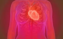 Tuổi thọ của tim quyết định các bệnh tim mạch và nguy cơ đột quỵ