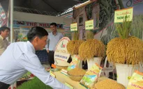 Việt Nam đẩy mạnh xuất khẩu sản phẩm gạo cấp cao