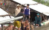 Gia cố đê bao, kịp thời cứu hàng trăm ha lúa tại Đồng Tháp