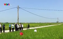 Kiểm tra phòng chống bão số 6 và sản xuất nông nghiệp tại Hải Phòng