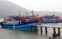 Quảng Ninh: Huy động lực lượng kêu gọi tàu thuyền vào nơi tránh trú bão