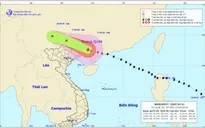Ảnh hưởng của hoàn lưu bão số 6, Quảng Ninh, Lạng Sơn có gió mạnh cấp 6