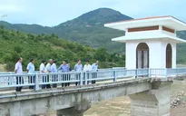 Bộ NN&PTNT kiểm tra tình hình khô hạn ở Ninh Thuận