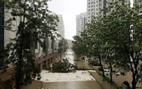 Châu Á có thể thiệt hại ít nhất 70 tỷ USD do siêu bão Mangkhut