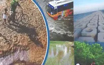 Kiểm toán Nhà nước sẽ đẩy mạnh việc kiểm toán về môi trường