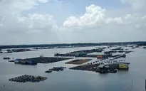 Lật ghe làm 1 người thiệt mạng tại Bà Rịa - Vũng Tàu