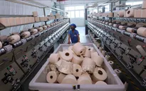 Doanh nghiệp FDI thu hút nhiều lao động nhất