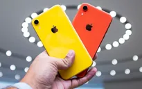 Tất cả đã sai, iPhone XR còn bán chạy hơn cả iPhone X!