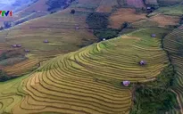 Ruộng bậc thang Mù Cang Chải - Một trong những nơi đẹp nhất khu vực Đông Nam Á