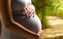 Mối nguy hiểm của bệnh lậu đối với thai kỳ