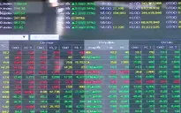 Chứng khoán "thăng hoa", Vn-Index cán mốc 1.000 điểm